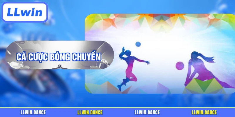 Cá Cược Bóng Chuyền - Khám Phá Kèo LLWIN Hấp Dẫn