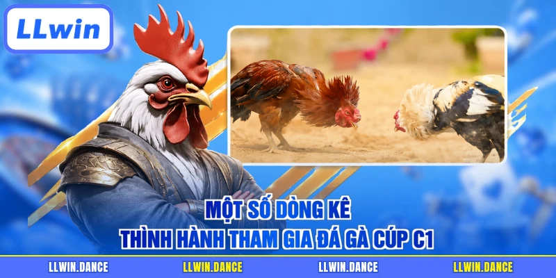 Một số dòng kê thình hành tham gia đá gà cúp C1