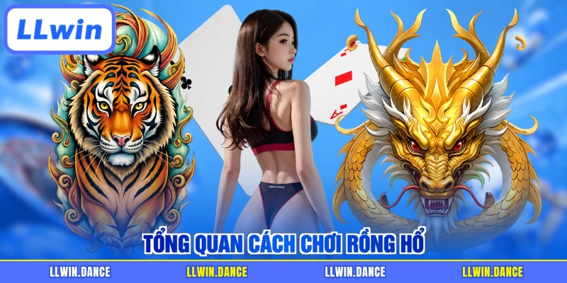 Tổng quan cách chơi Rồng Hổ