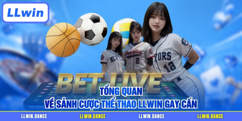Tổng quan về sảnh cược thể thao LLWIN gay cấn